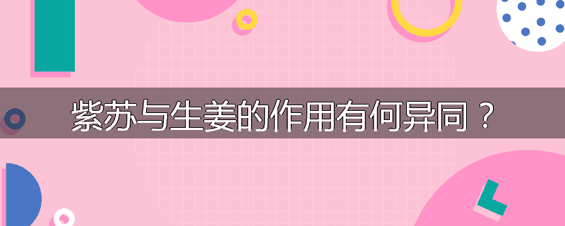 紫苏与生姜的作用有何异同？