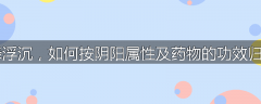升降浮沉，如何按阴阳属性及药物的功效归类？