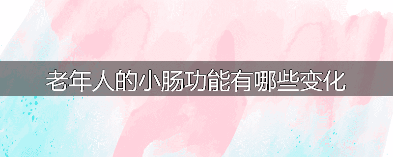老年人的小肠功能有哪些变化