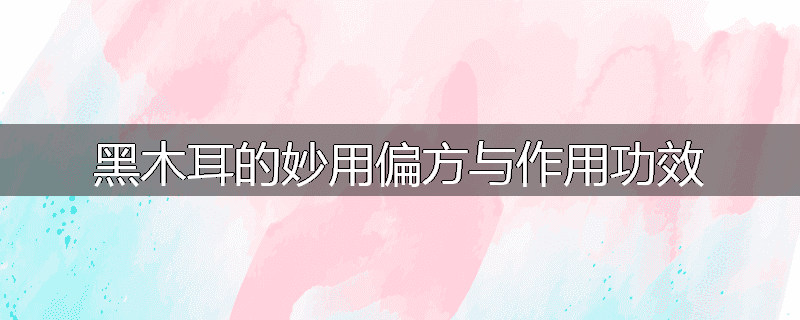 黑木耳的妙用偏方与作用功效