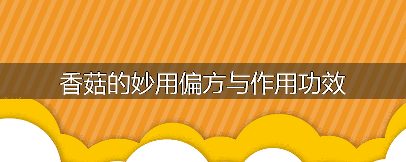 香菇的妙用偏方与作用功效