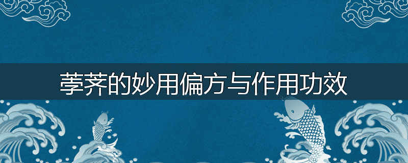 荸荠的妙用偏方与作用功效