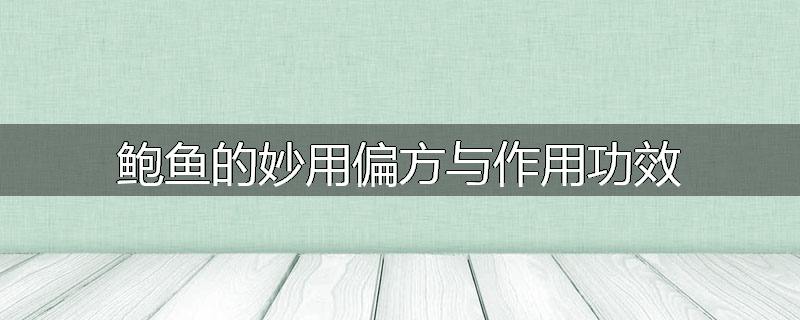 鲍鱼的妙用偏方与作用功效