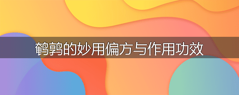 鹌鹑的妙用偏方与作用功效