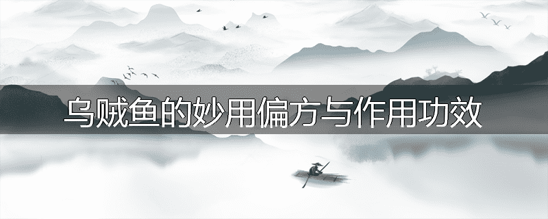 乌贼鱼的妙用偏方与作用功效