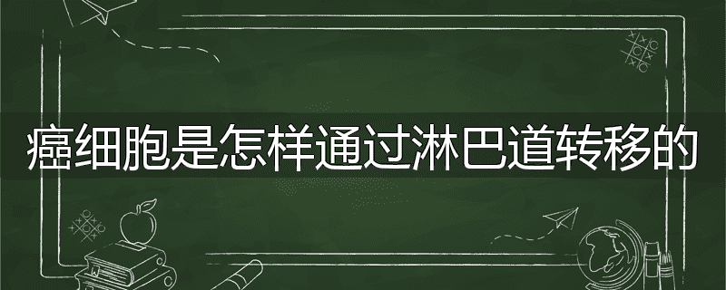 癌细胞是怎样通过淋巴道转移的