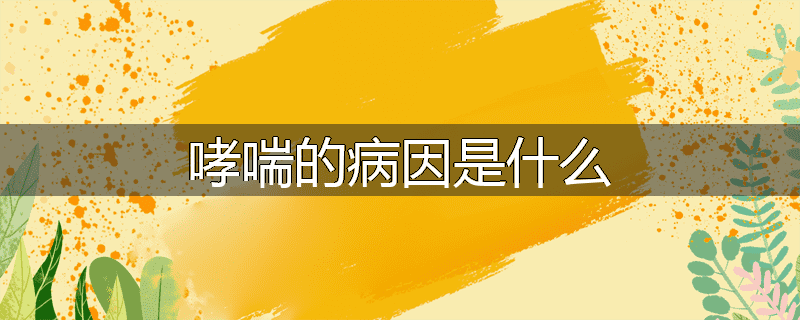 哮喘的病因是什么