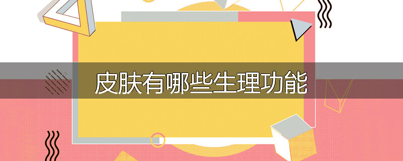 皮肤有哪些生理功能