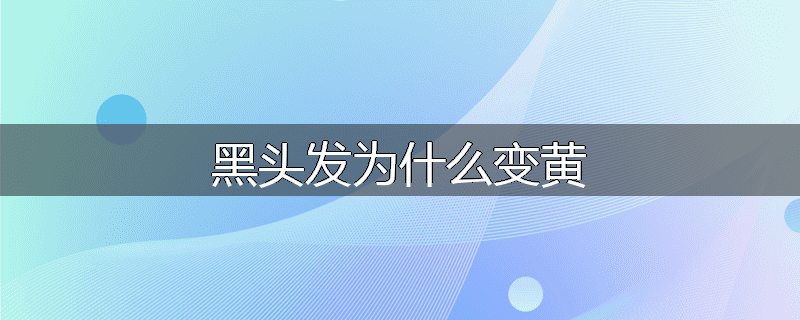 黑头发为什么变黄