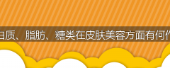 蛋白质、脂肪、糖类在皮肤美容方面有何作用