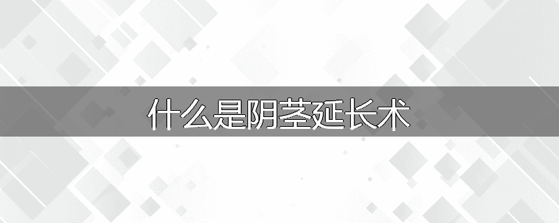 什么是阴茎延长术