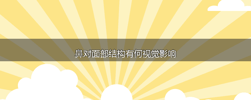 鼻对面部结构有何视觉影响