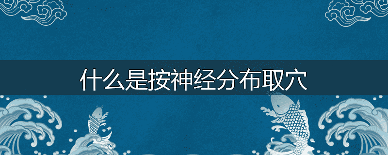 什么是按神经分布取穴