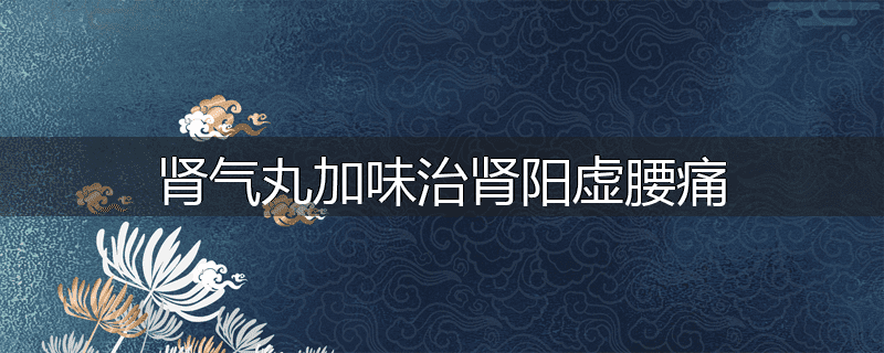 肾气丸加味治肾阳虚腰痛