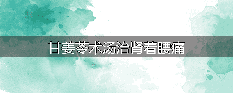 甘姜苓术汤治肾着腰痛