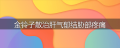 金铃子散治肝气郁结胁部疼痛