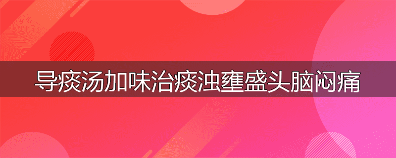 导痰汤加味治痰浊壅盛头脑闷痛