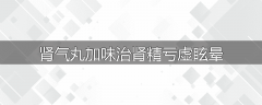 肾气丸加味治肾精亏虚眩晕