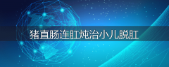 猪直肠连肛炖治小儿脱肛