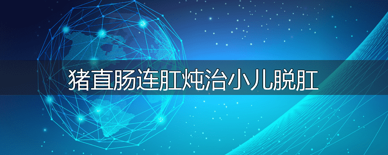 猪直肠连肛炖治小儿脱肛