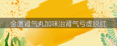 金匮肾气丸加味治肾气亏虚脱肛