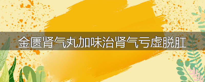 金匮肾气丸加味治肾气亏虚脱肛