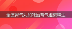 金匮肾气丸加味治肾气虚衰精浊