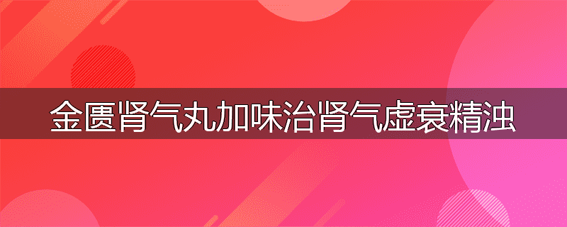 金匮肾气丸加味治肾气虚衰精浊