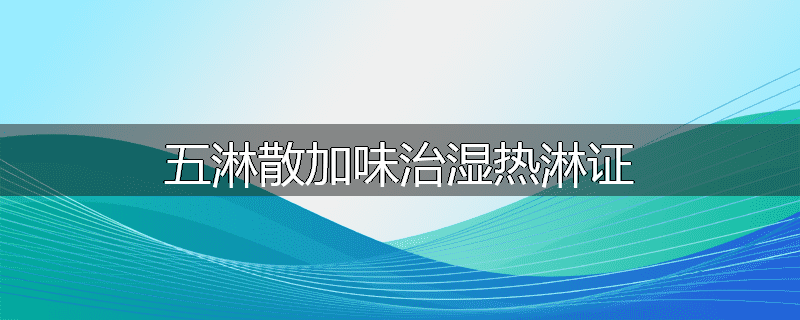 五淋散加味治湿热淋证