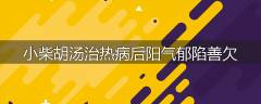 小柴胡汤治热病后阳气郁陷善欠