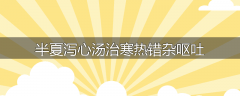 半夏泻心汤治寒热错杂呕吐
