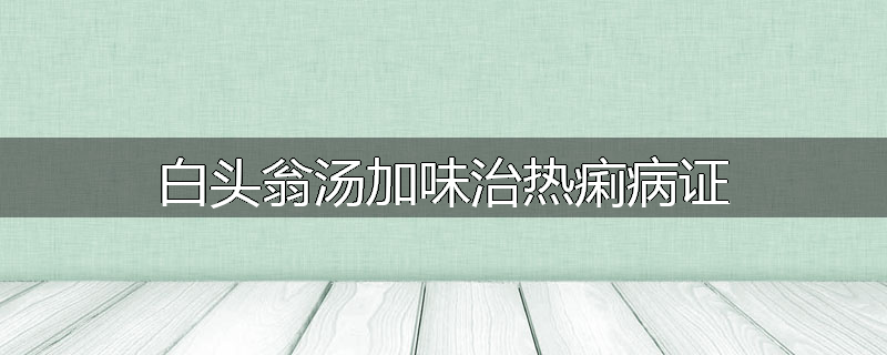 白头翁汤加味治热痢病证