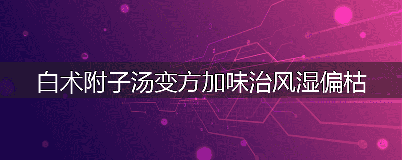 白术附子汤变方加味治风湿偏枯