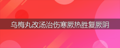 乌梅丸改汤治伤寒厥热胜复厥阴