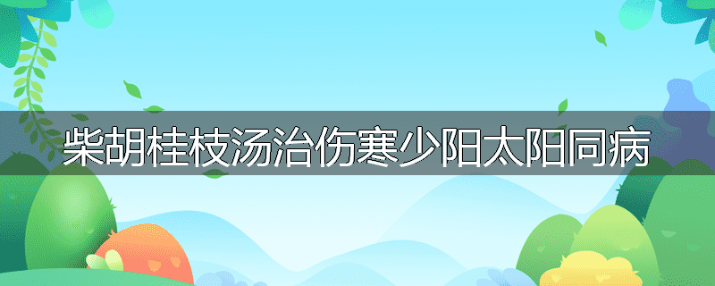 柴胡桂枝汤治伤寒少阳太阳同病