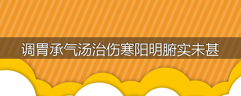 调胃承气汤治伤寒阳明腑实未甚