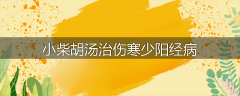 小柴胡汤治伤寒少阳经病