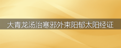 大青龙汤治寒邪外束阳郁太阳经证