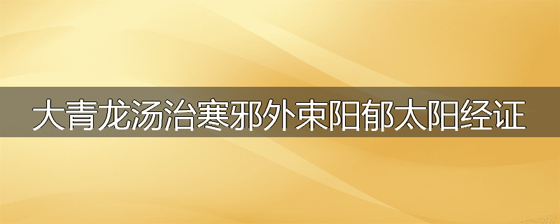 大青龙汤治寒邪外束阳郁太阳经证