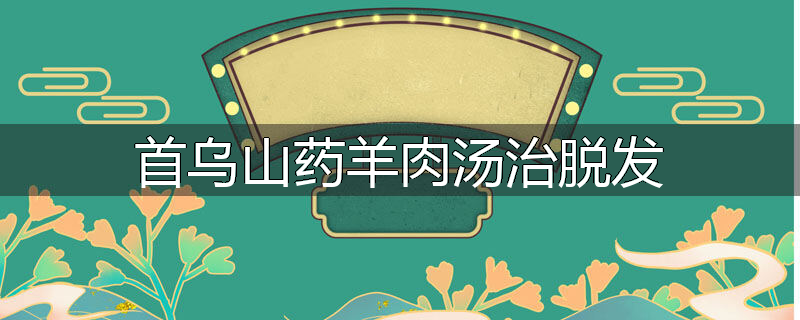 首乌山药羊肉汤治脱发