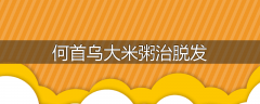 何首乌大米粥治脱发