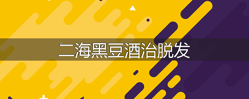 二海黑豆酒治脱发