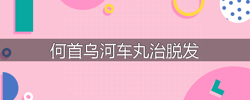 何首乌河车丸治脱发
