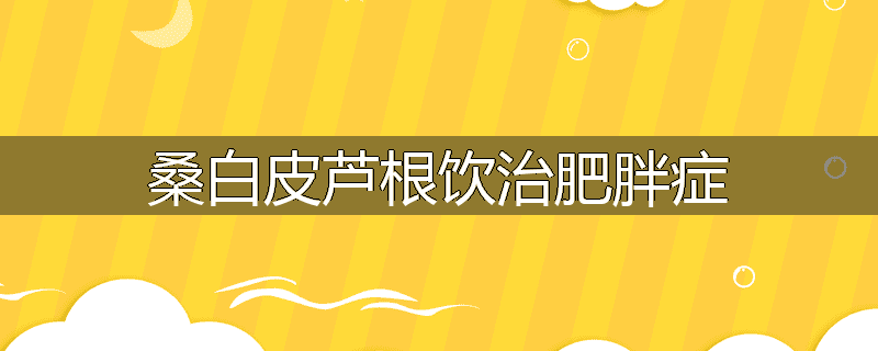 桑白皮芦根饮治肥胖症