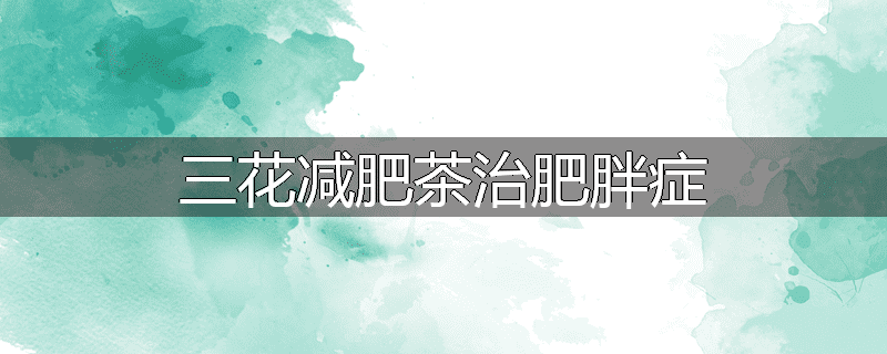 三花减肥茶治肥胖症