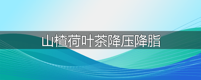 山楂荷叶茶降压降脂