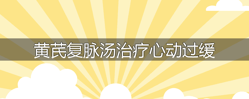 黄芪复脉汤治疗心动过缓