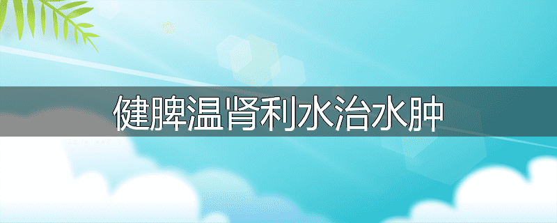 健脾温肾利水治水肿