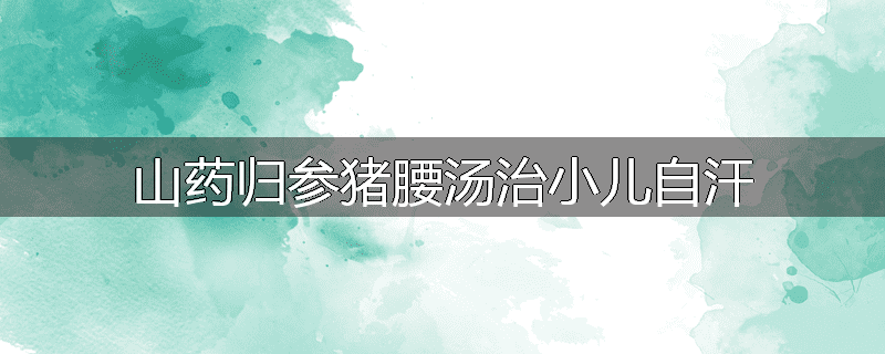 山药归参猪腰汤治小儿自汗