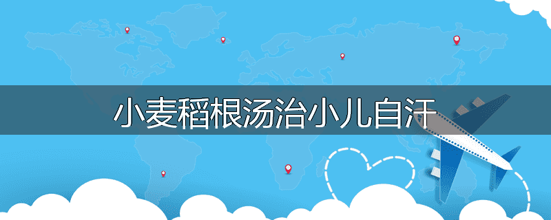 小麦稻根汤治小儿自汗